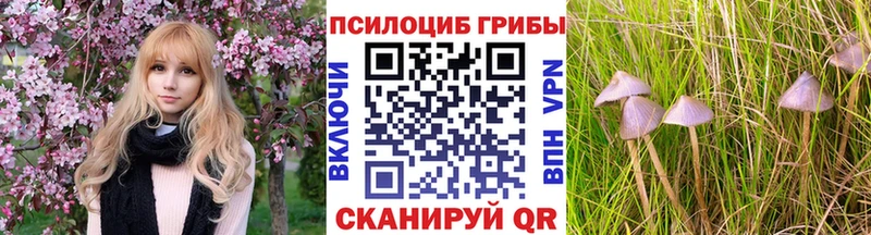 Псилоцибиновые грибы ЛСД  Дятьково 